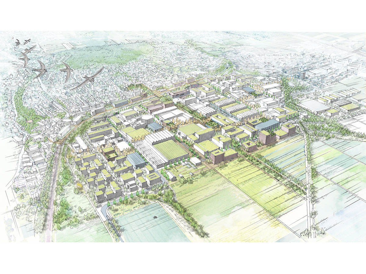 060119 Vogelperspektive